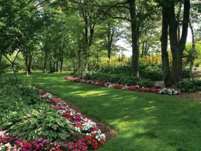 Shady Characters: Plants that Grow in Shade Image